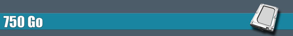 Disque dur interne 750 Go