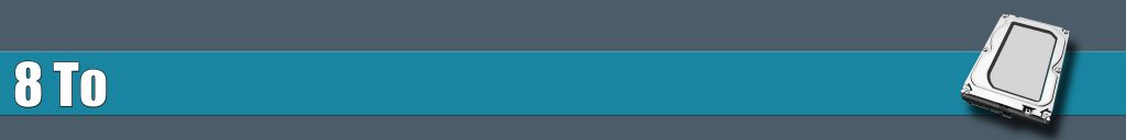 Disque dur interne 8 To