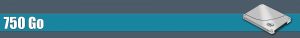Disque dur SSD 750 Go
